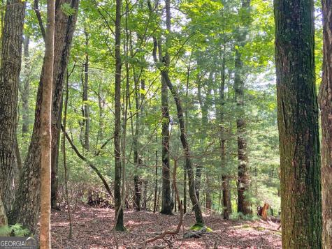 10.59AC T S Jarrard Road Dahlonega GA 30533