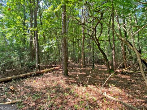 10.59AC T S Jarrard Road Dahlonega GA 30533