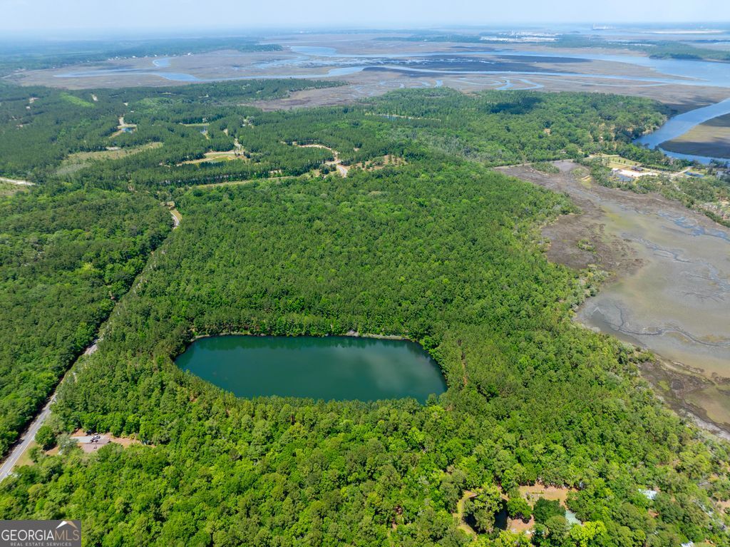 0 21 Acres Dover Bluff Road Waverly GA 31565