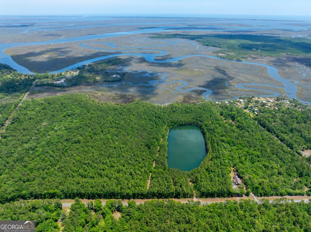0 21 Acres Dover Bluff Road Waverly GA 31565