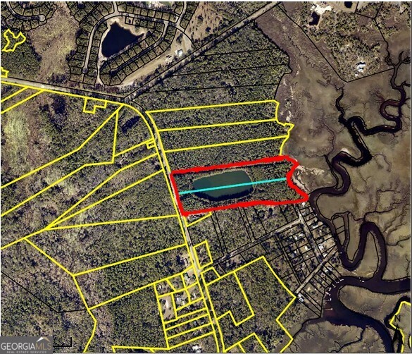 0 21 Acres Dover Bluff Road Waverly GA 31565