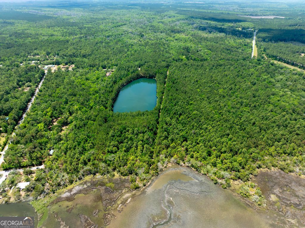 0 21 Acres Dover Bluff Road Waverly GA 31565