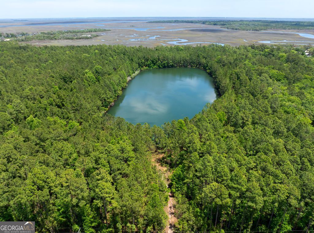 0 21 Acres Dover Bluff Road Waverly GA 31565