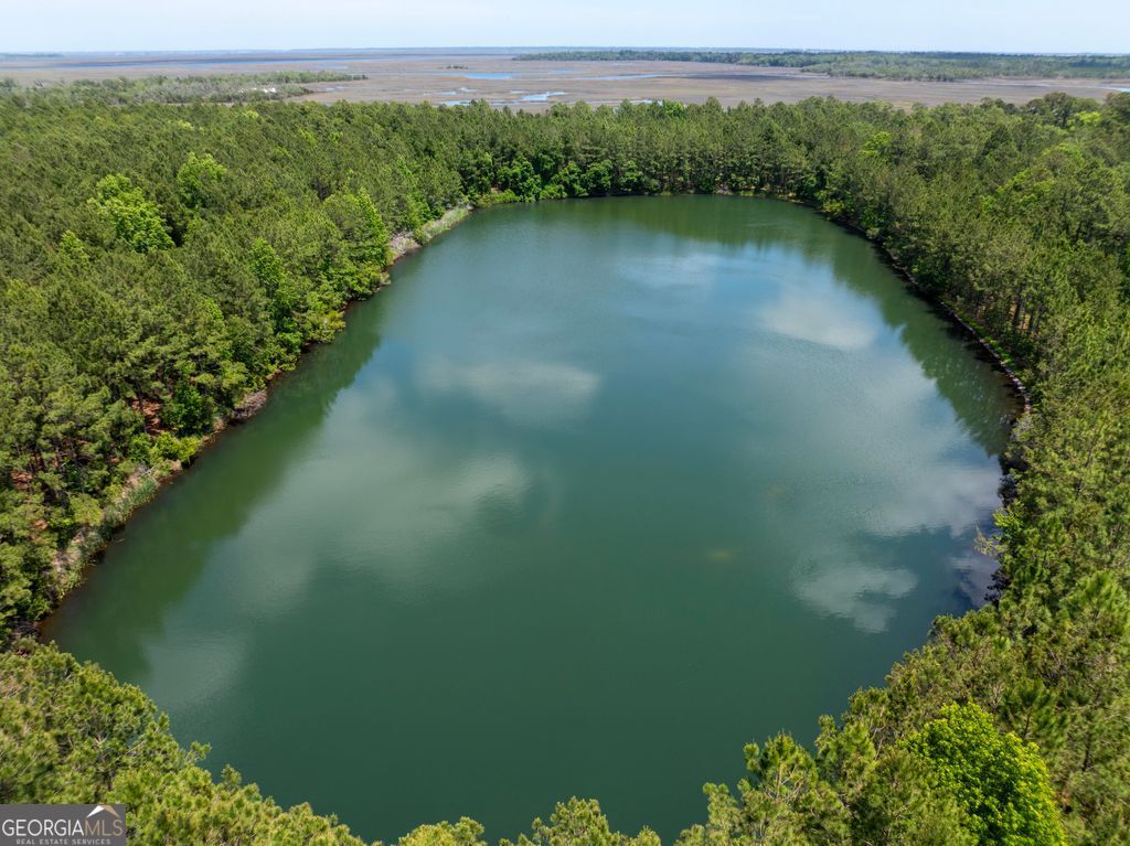 0 21 Acres Dover Bluff Road Waverly GA 31565