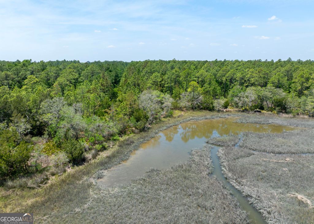 0 21 Acres Dover Bluff Road Waverly GA 31565