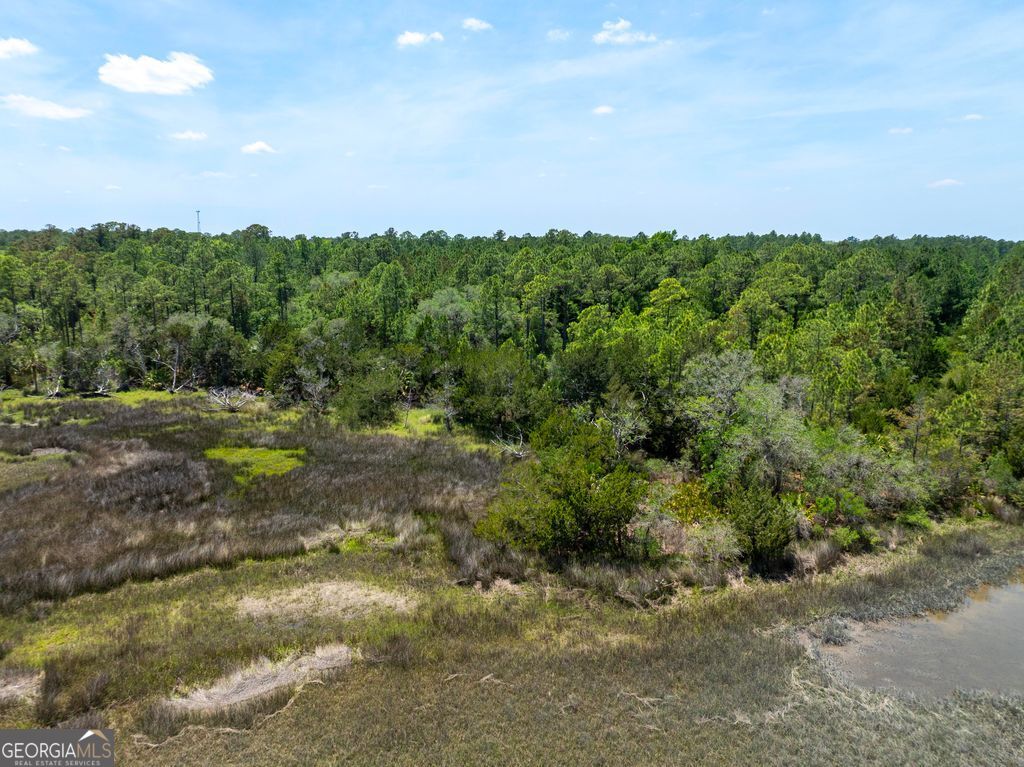 0 21 Acres Dover Bluff Road Waverly GA 31565