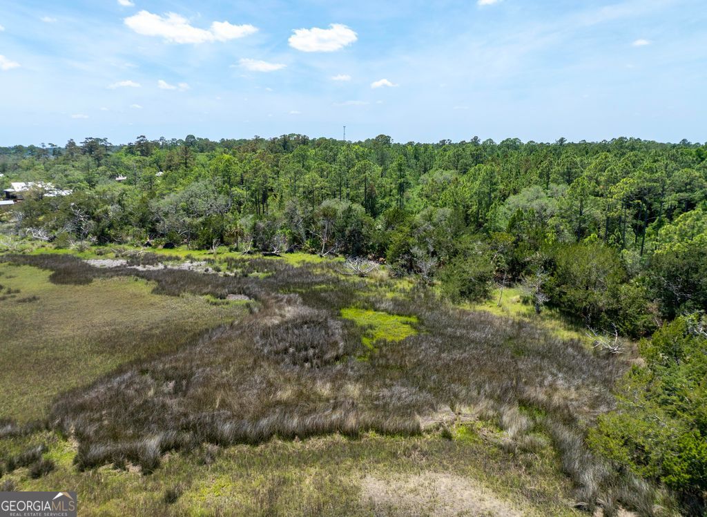 0 21 Acres Dover Bluff Road Waverly GA 31565