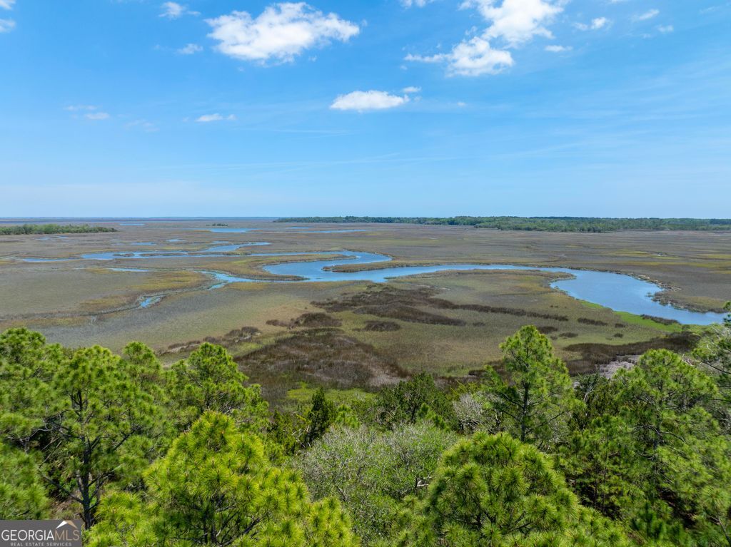 0 21 Acres Dover Bluff Road Waverly GA 31565