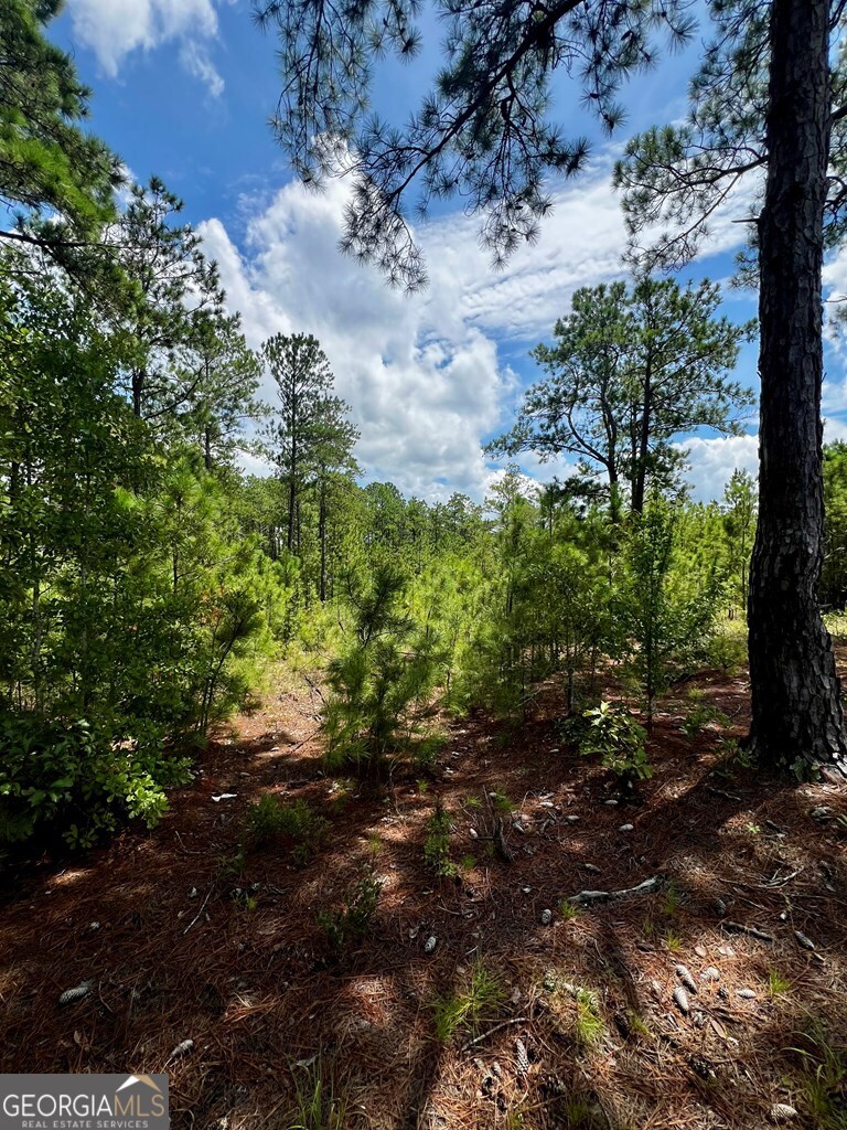 0 Dublin Eastman Road Dexter GA 31019