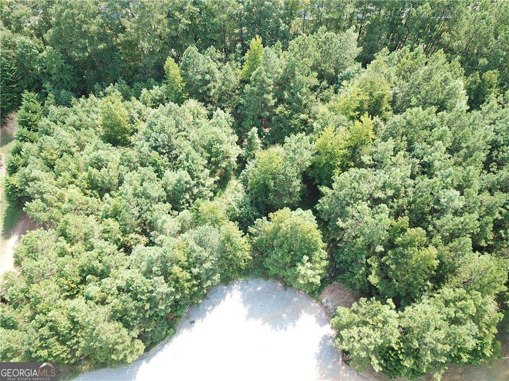 7732 Austin Court Winston GA 30187