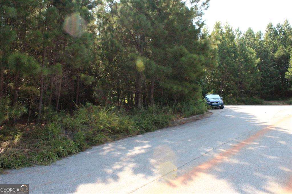 7732 Austin Court Winston GA 30187