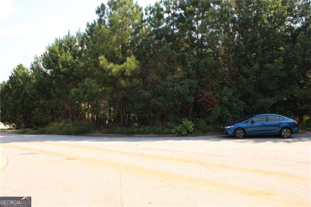 7732 Austin Court Winston GA 30187