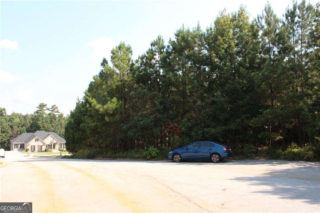 7732 Austin Court Winston GA 30187