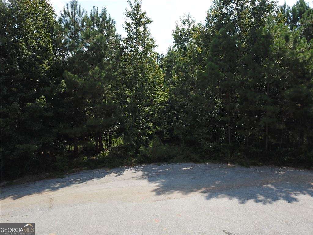 7732 Austin Court Winston GA 30187