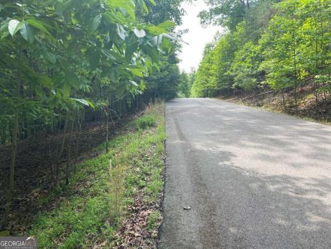Lot 11 Brumby Run Blairsville GA 30512