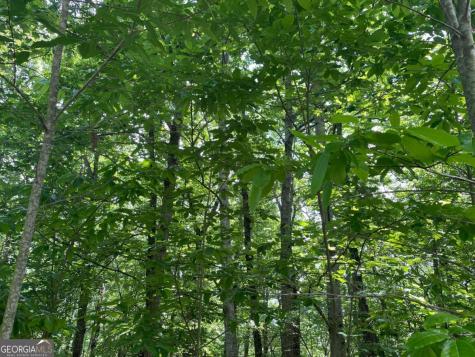 Lot 11 Brumby Run Blairsville GA 30512