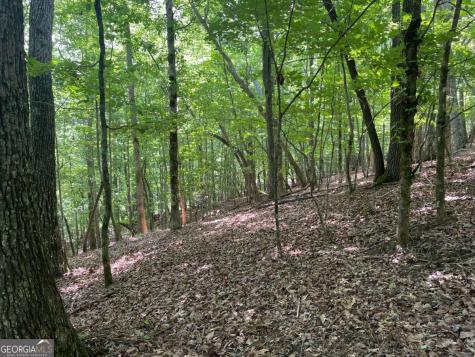 Lot 11 Brumby Run Blairsville GA 30512
