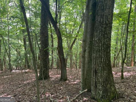 Lot 11 Brumby Run Blairsville GA 30512