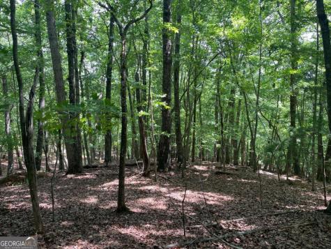 Lot 11 Brumby Run Blairsville GA 30512