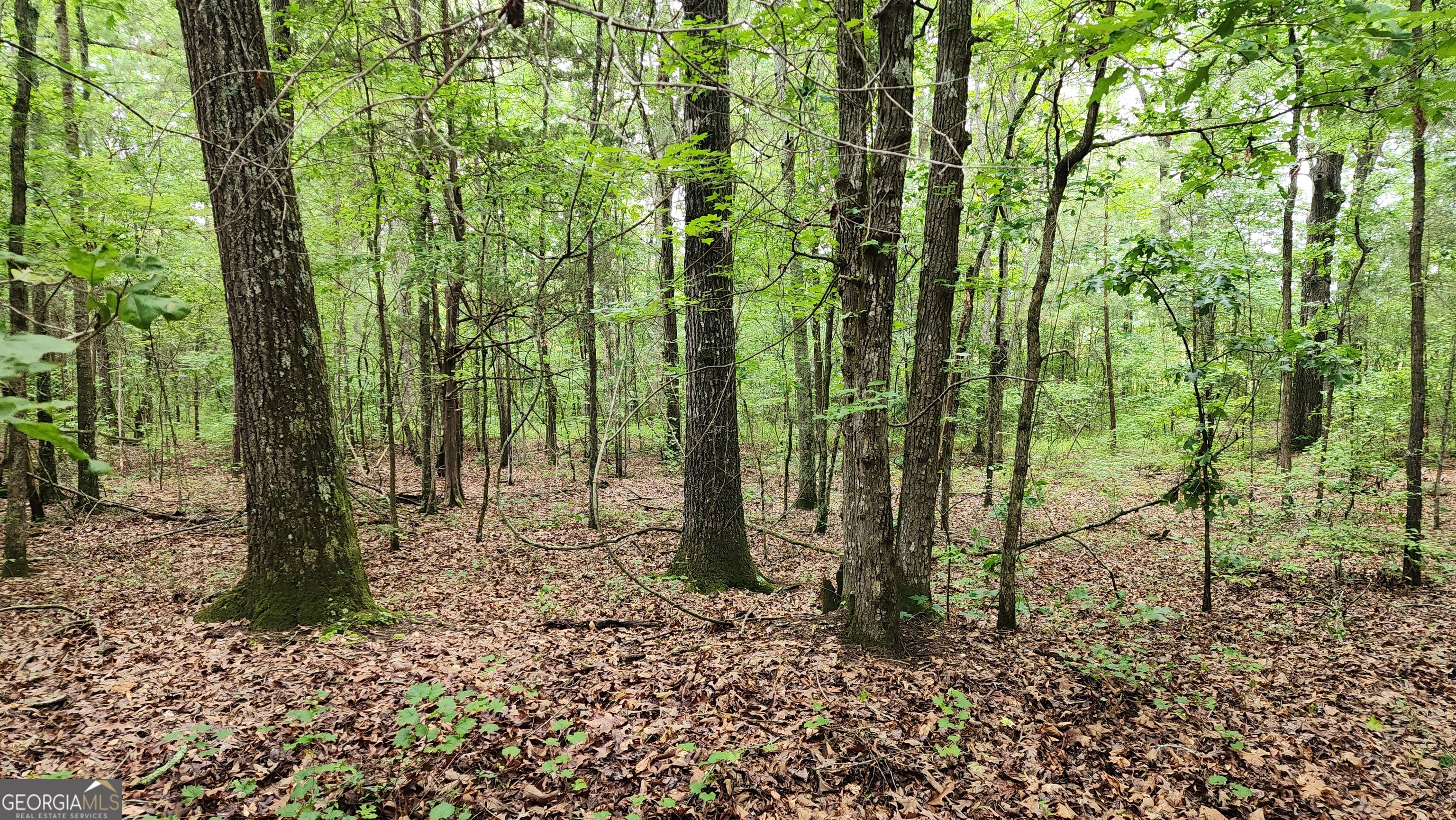 143 Highway 341 S Barnesville GA 30204