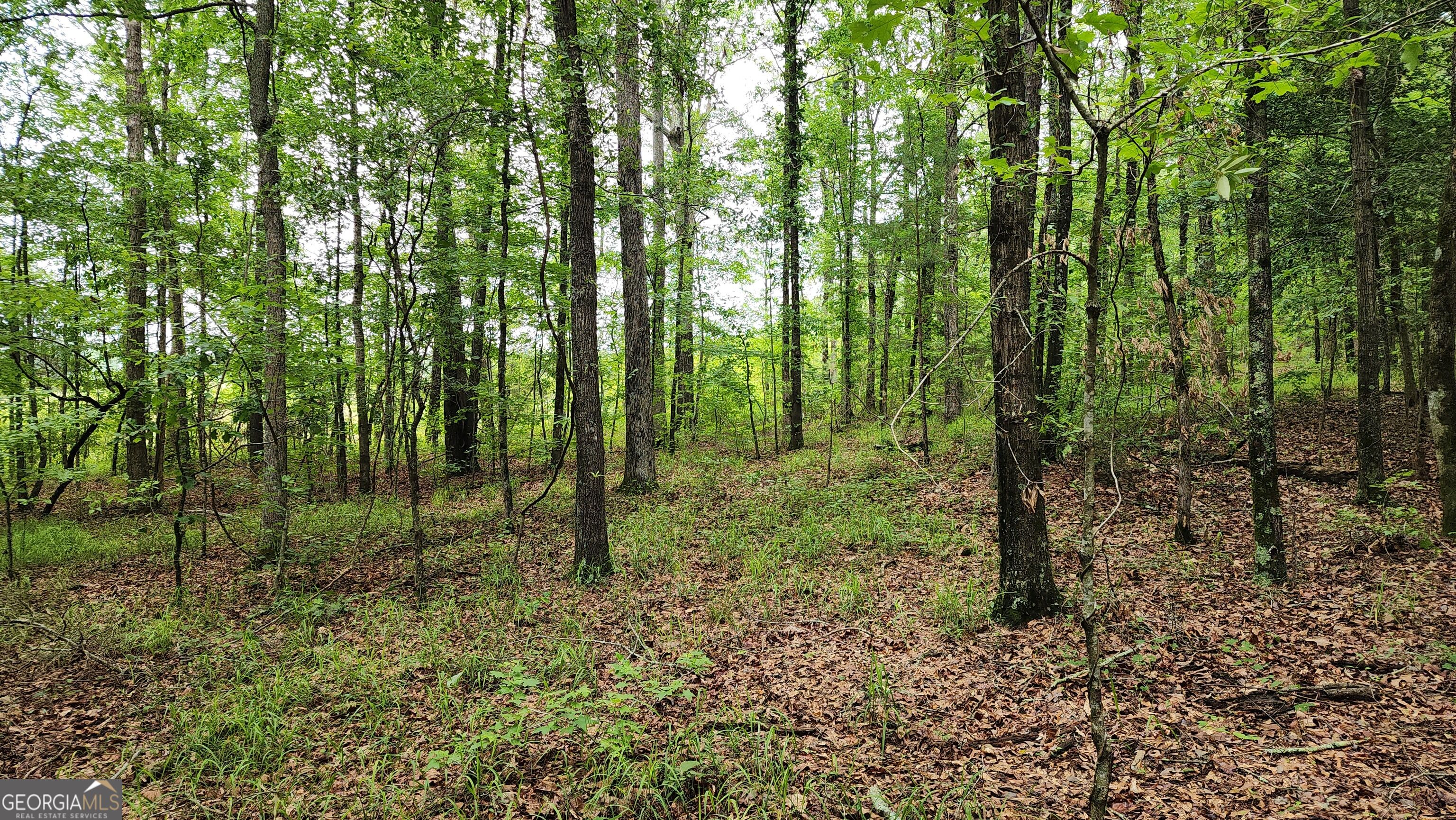 143 Highway 341 S Barnesville GA 30204