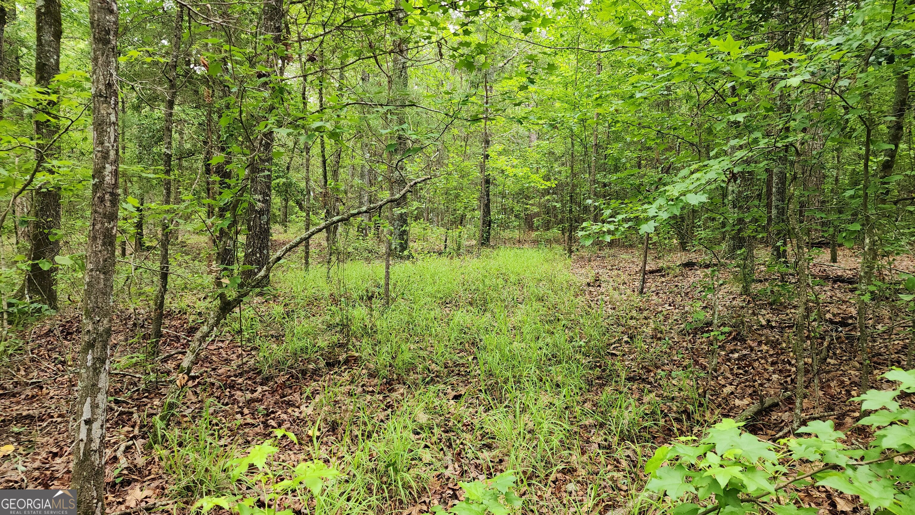 143 Highway 341 S Barnesville GA 30204