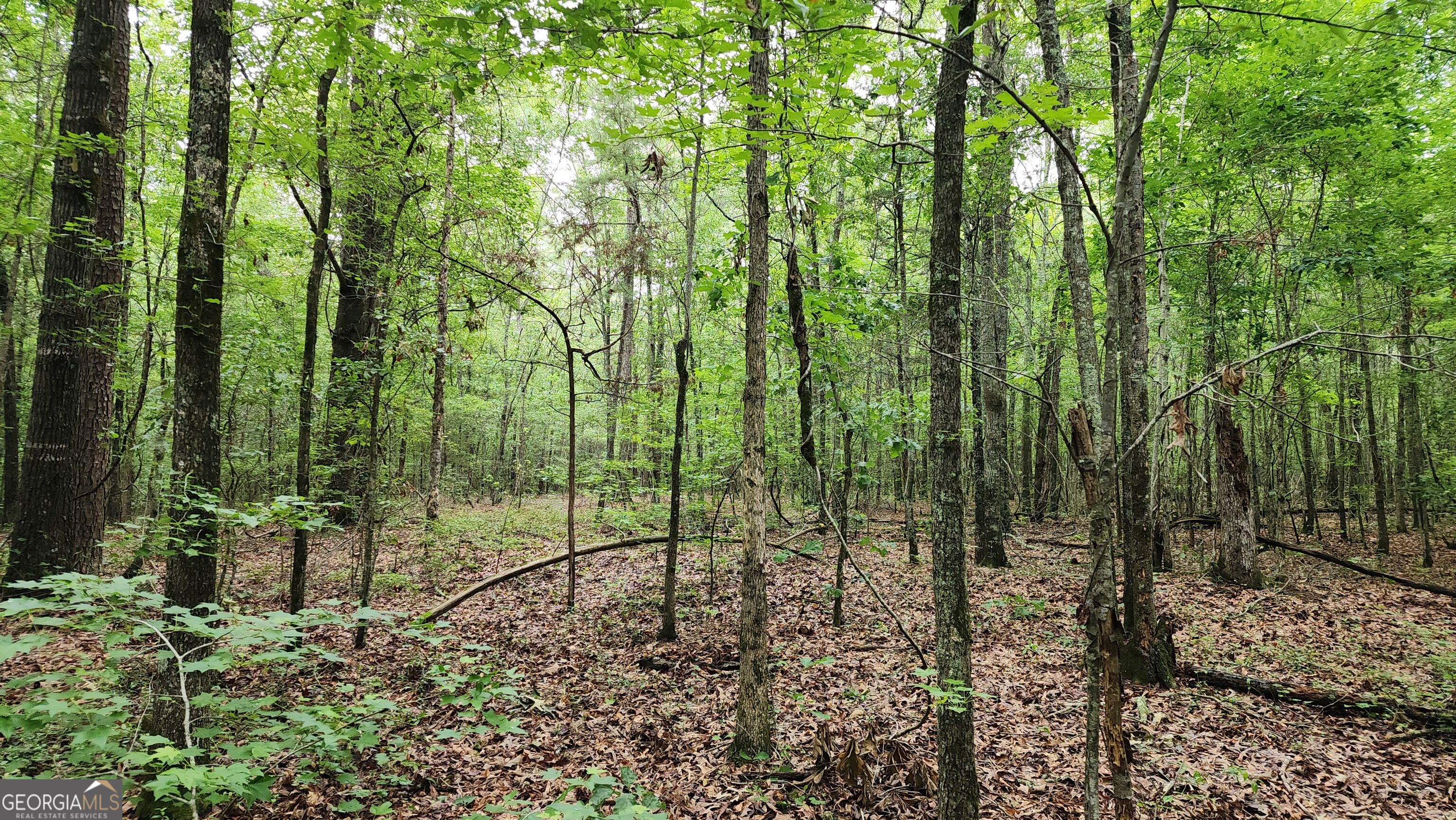 143 Highway 341 S Barnesville GA 30204