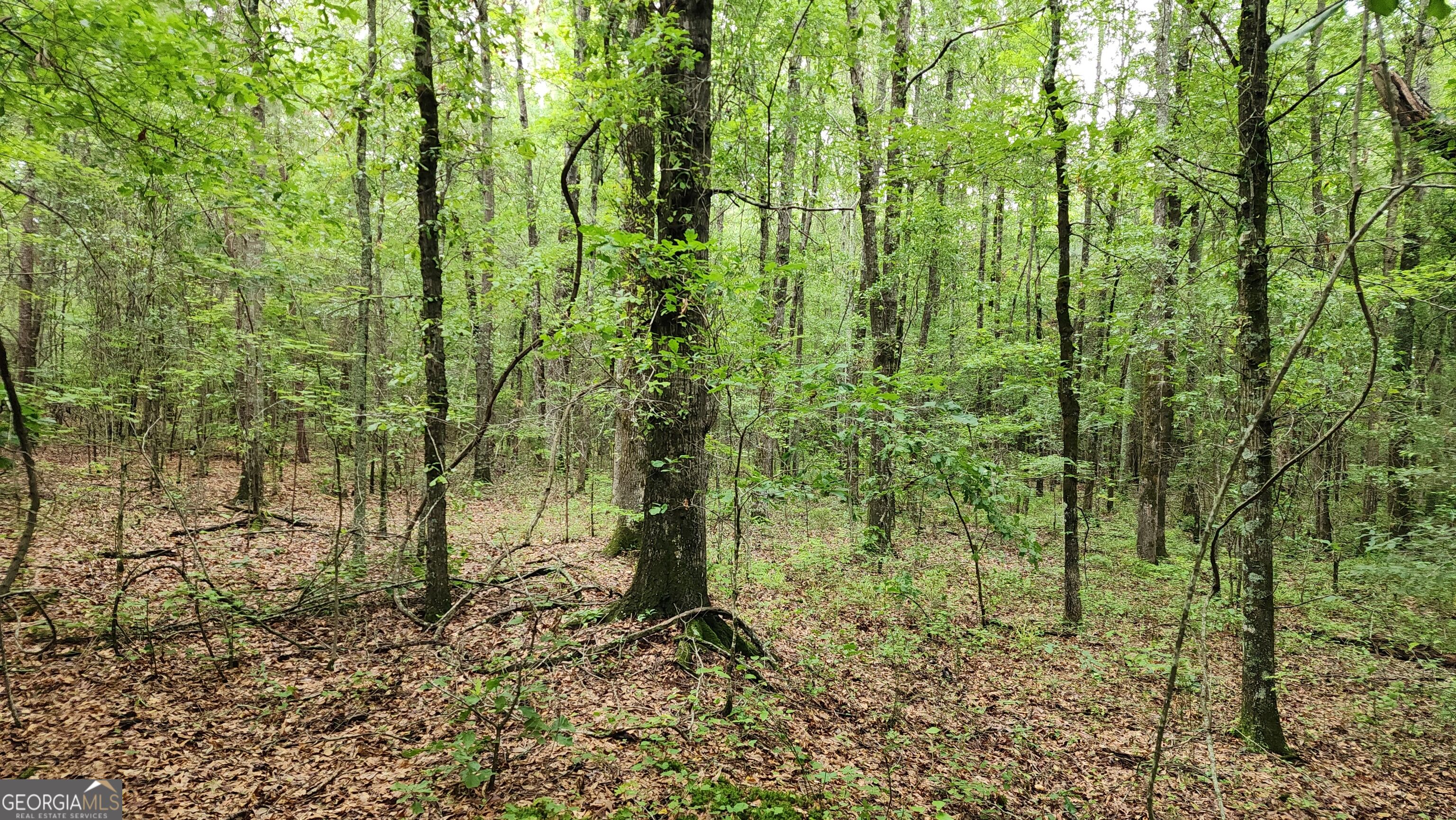 143 Highway 341 S Barnesville GA 30204