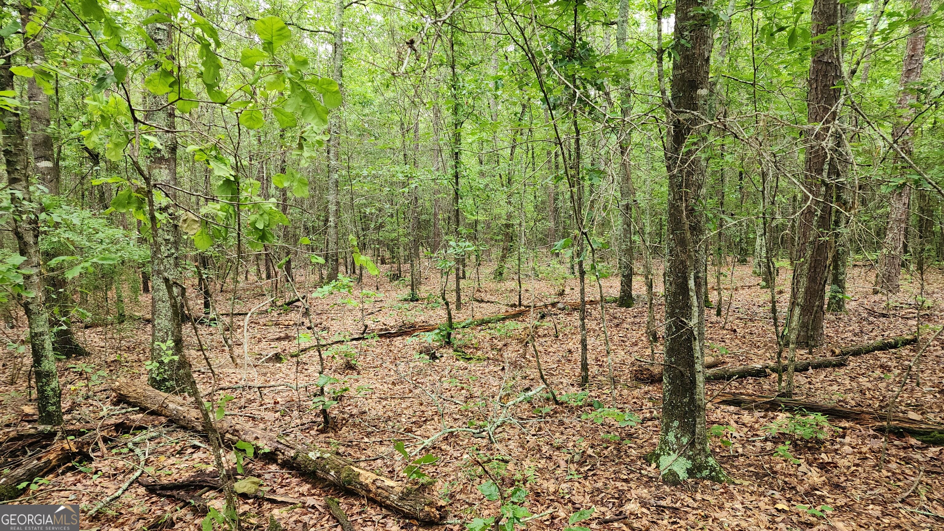 143 Highway 341 S Barnesville GA 30204