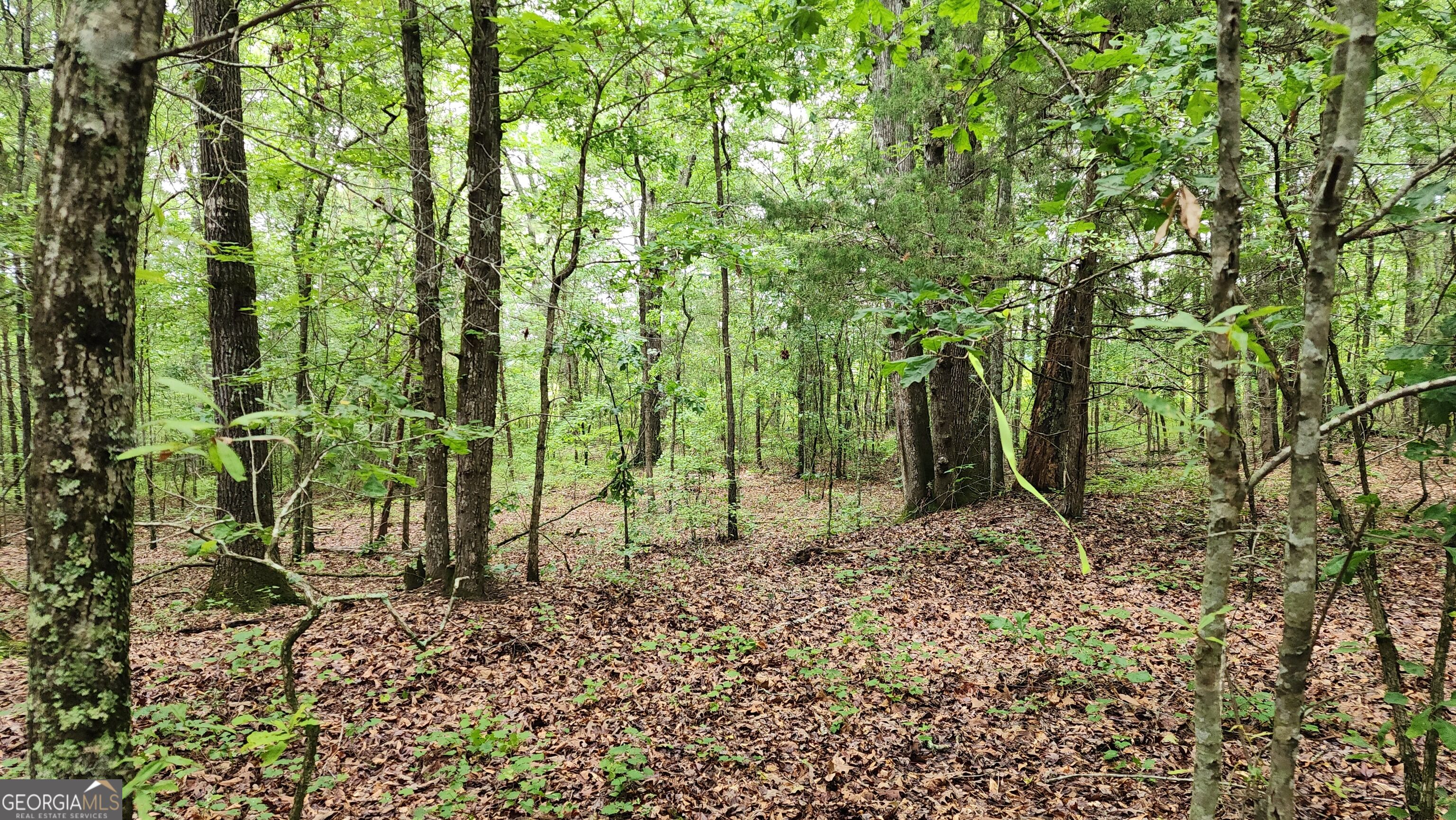 143 Highway 341 S Barnesville GA 30204
