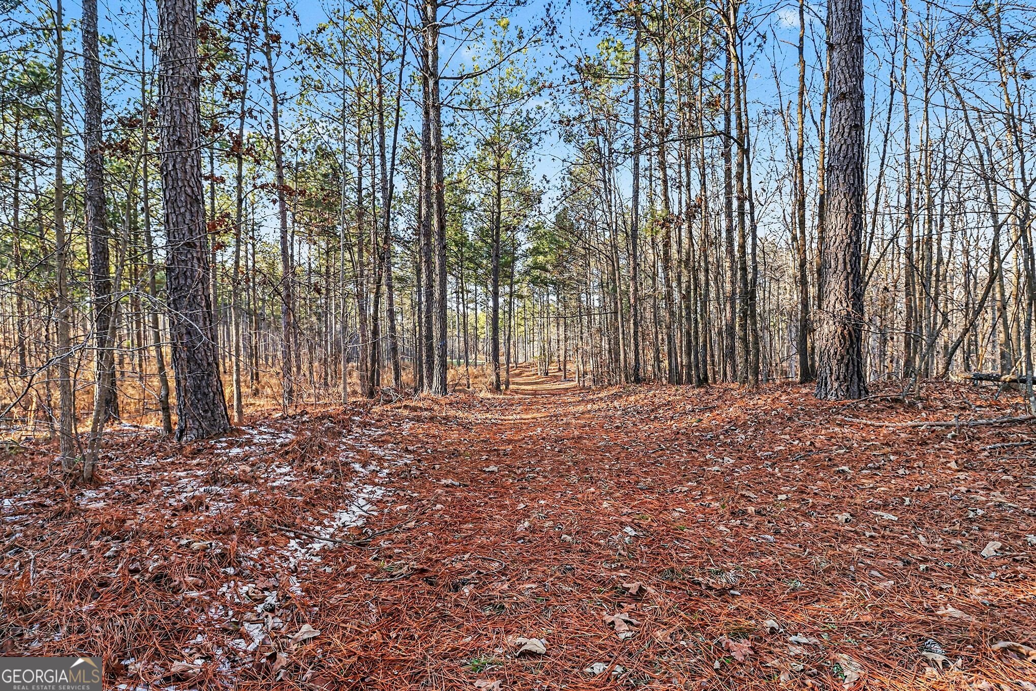 2285 Cherokee Road Comer GA 30629