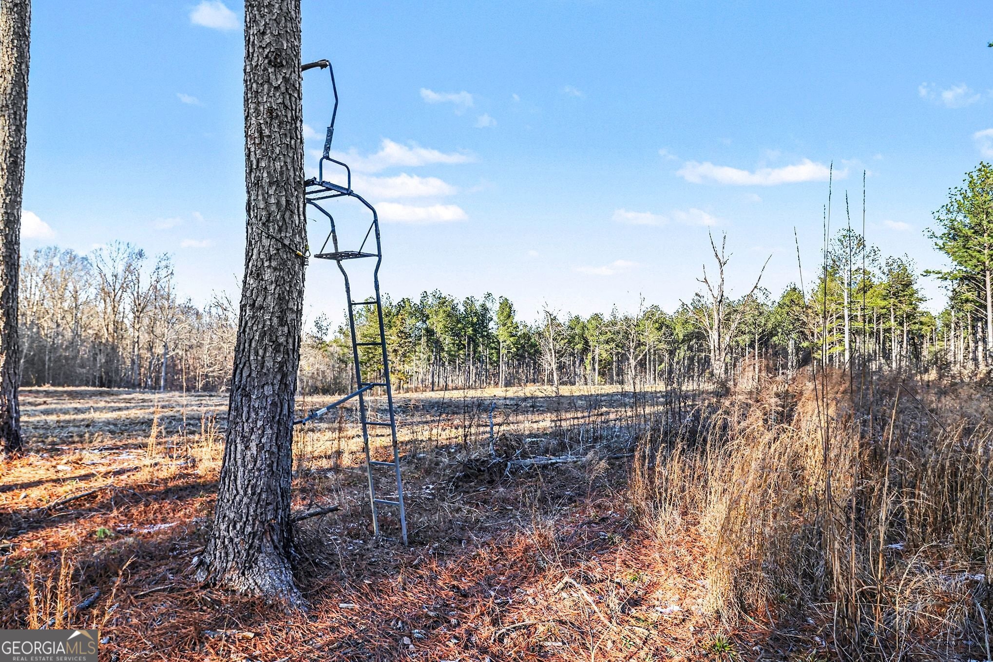 2285 Cherokee Road Comer GA 30629
