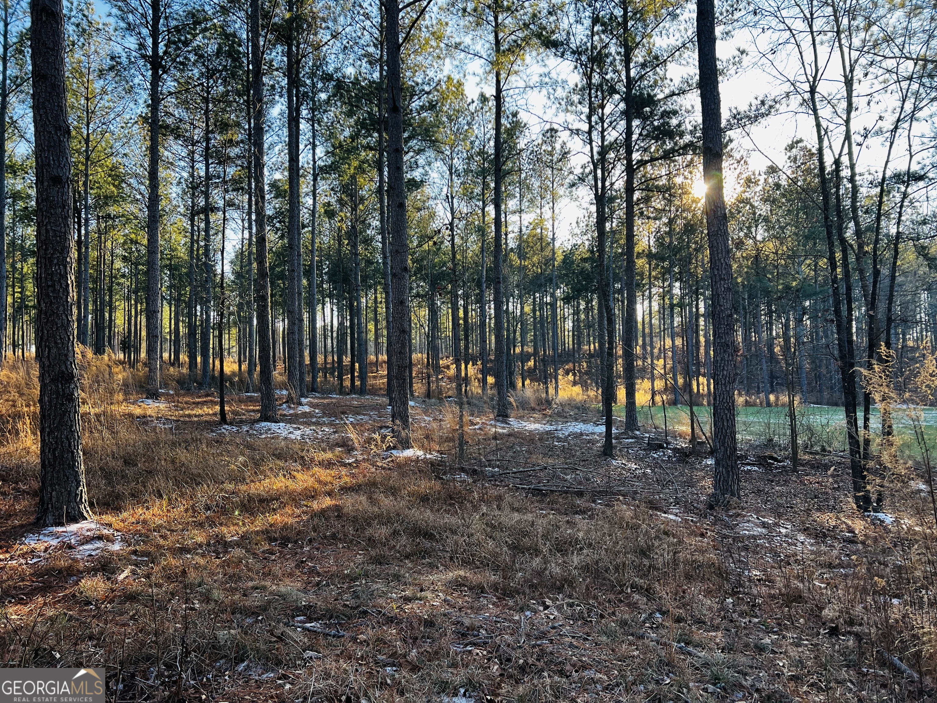 2285 Cherokee Road Comer GA 30629