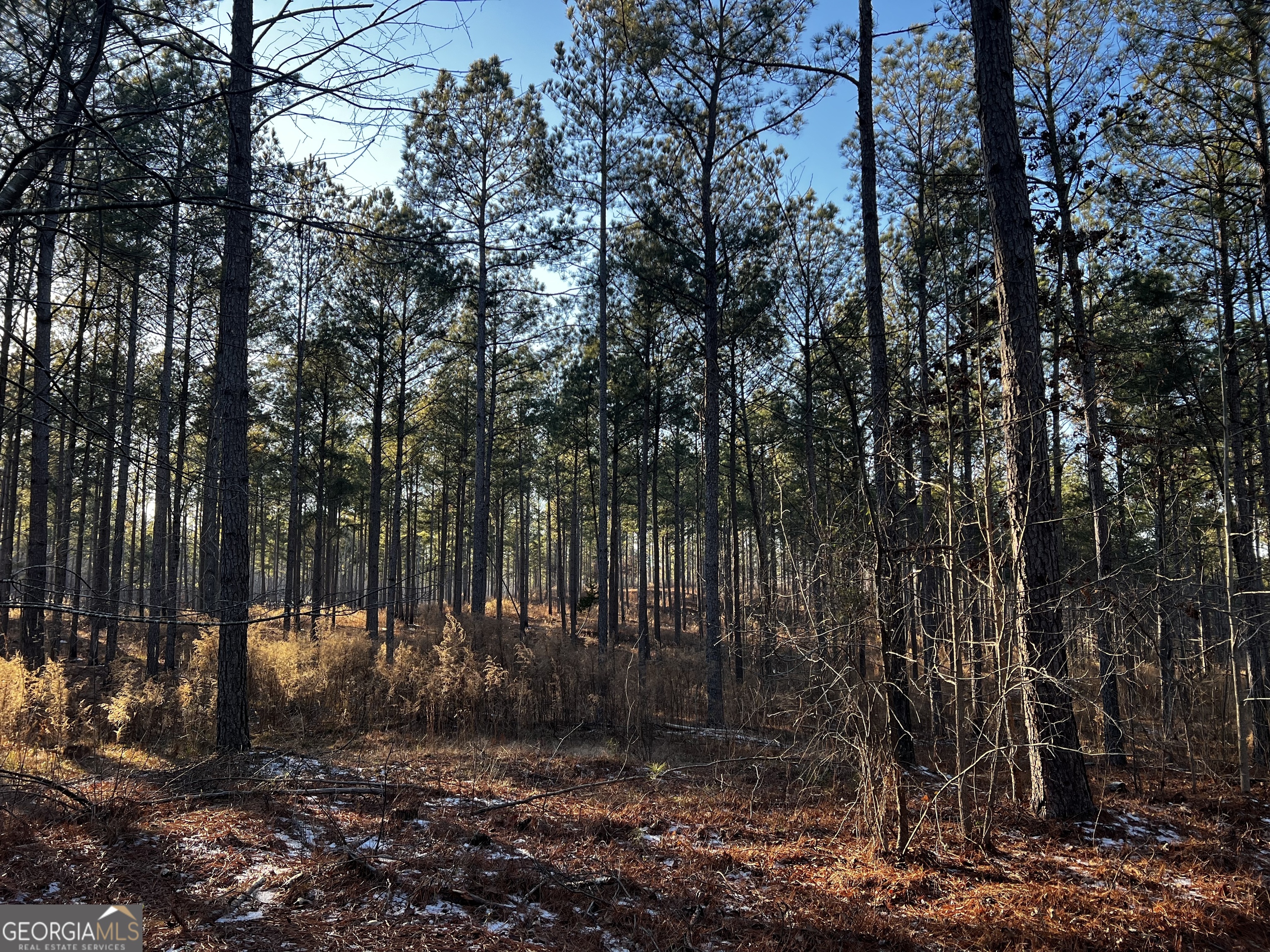 2285 Cherokee Road Comer GA 30629