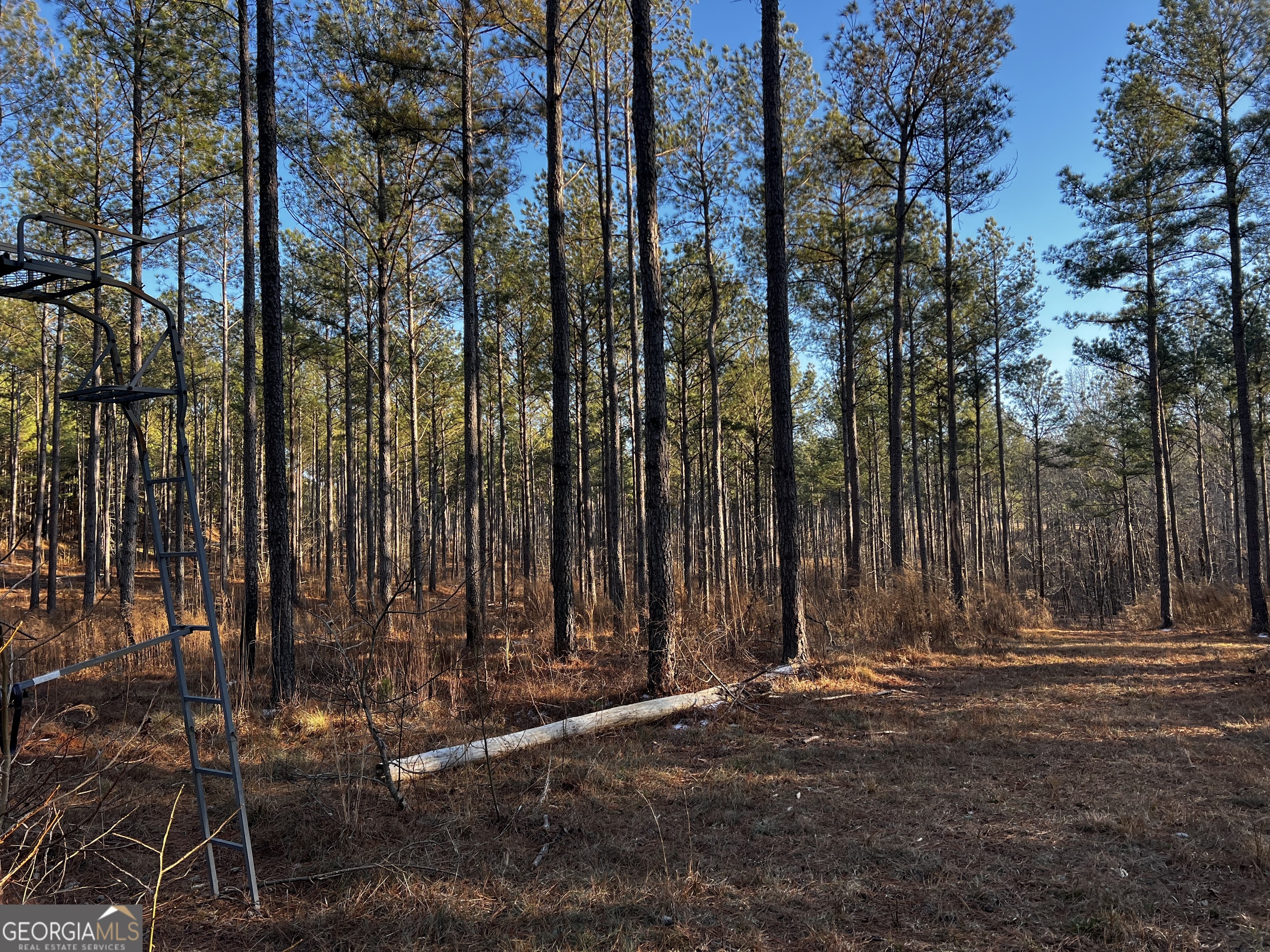 2285 Cherokee Road Comer GA 30629