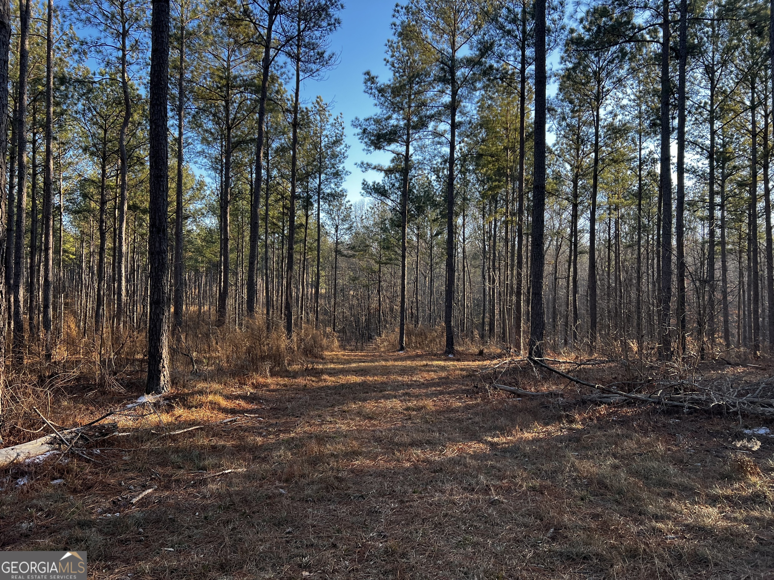2285 Cherokee Road Comer GA 30629