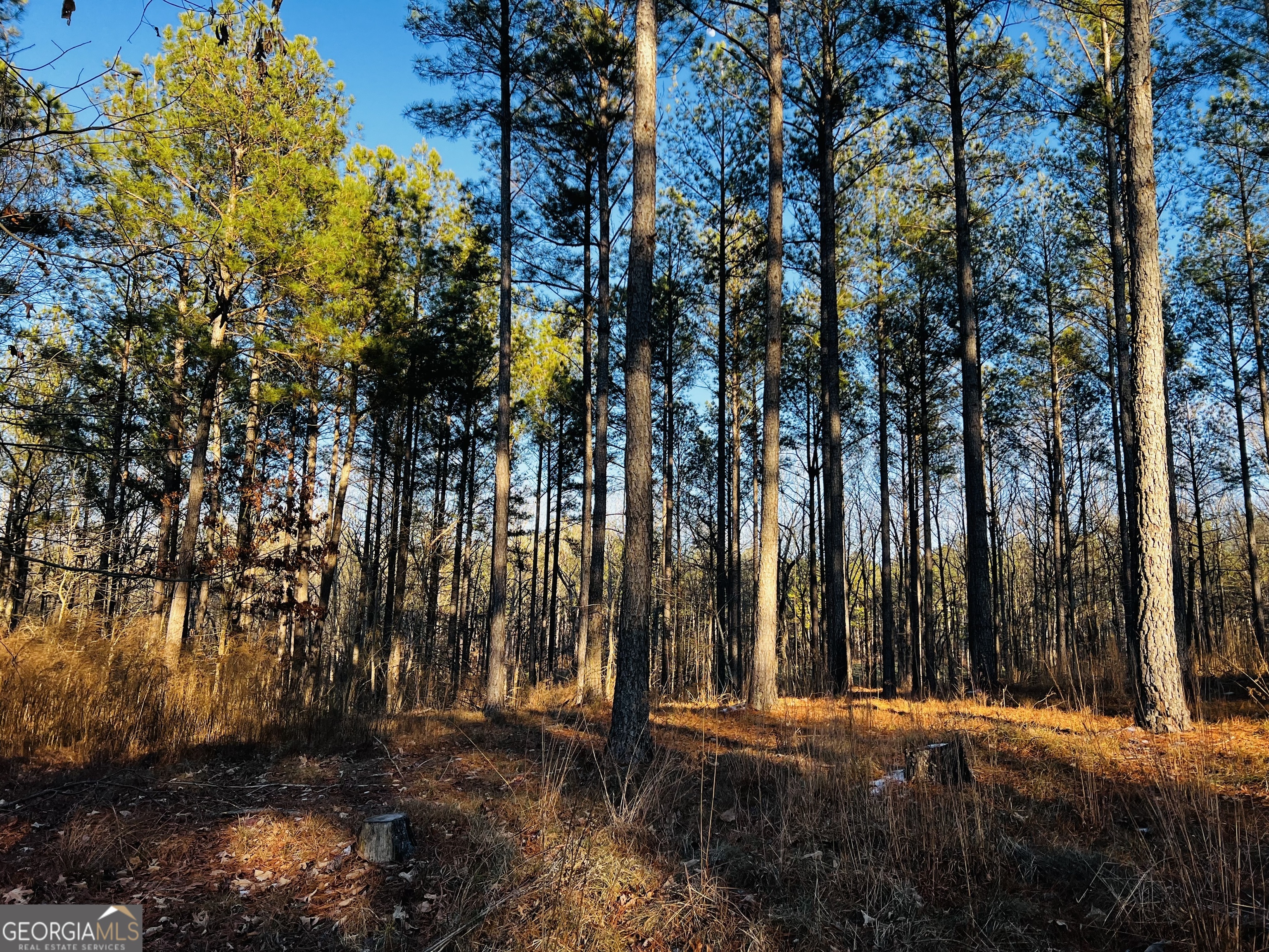 2285 Cherokee Road Comer GA 30629