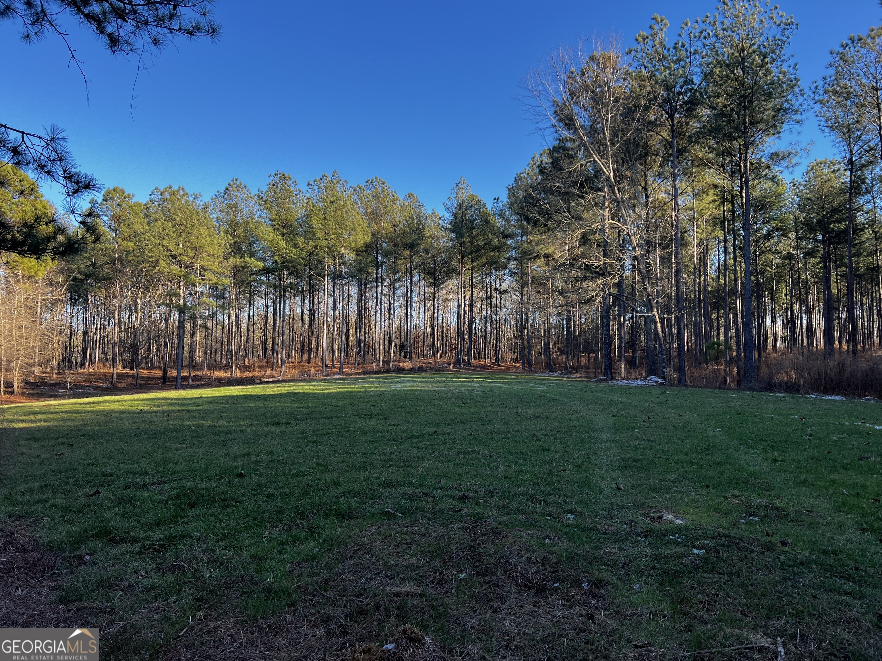 2285 Cherokee Road Comer GA 30629
