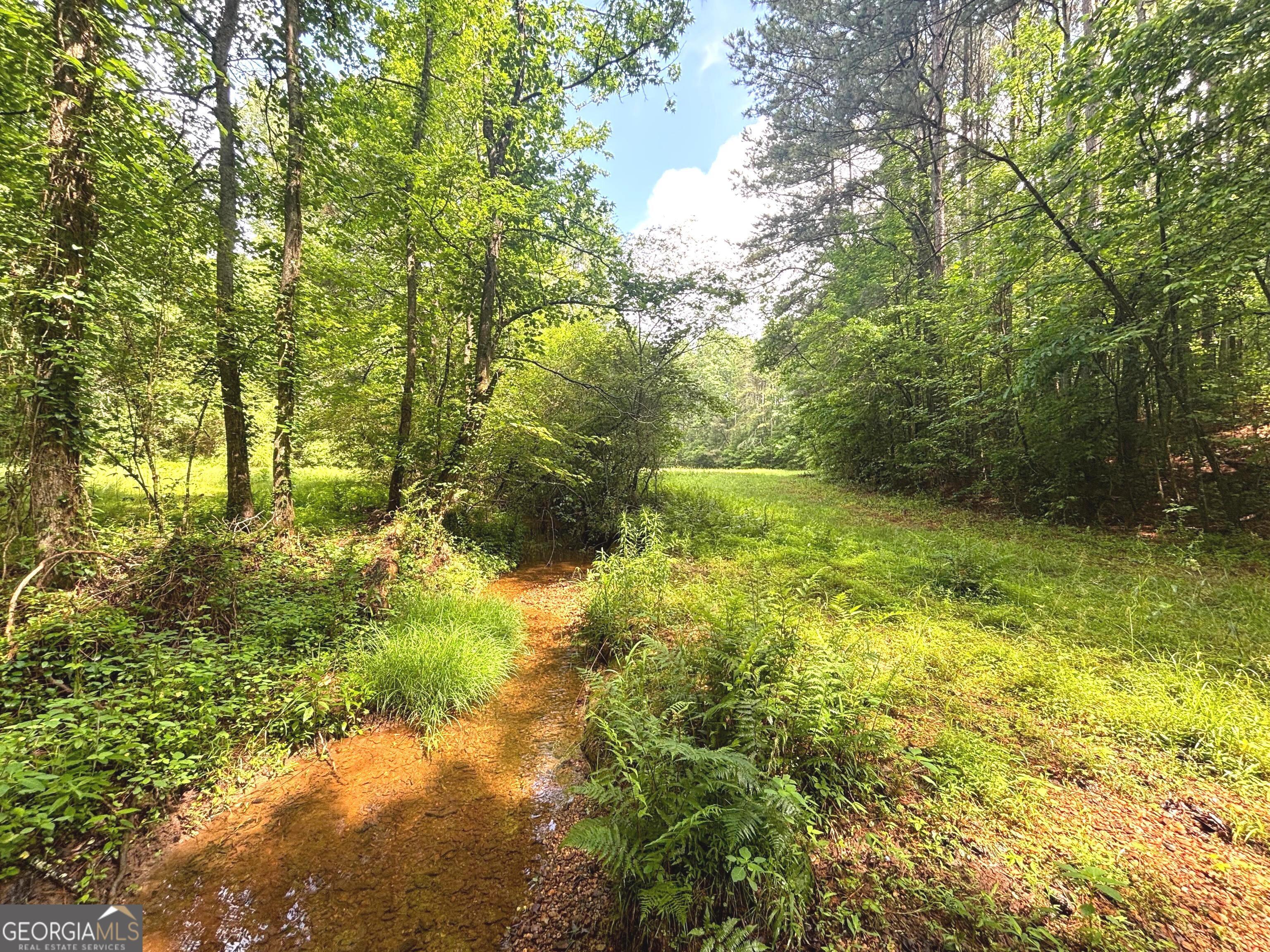 485 Debord Drive Waleska GA 30183