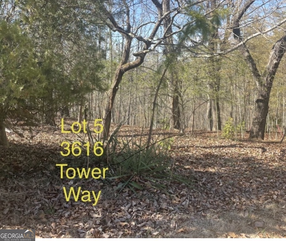 3616 Tower Way Gainesville GA 30501