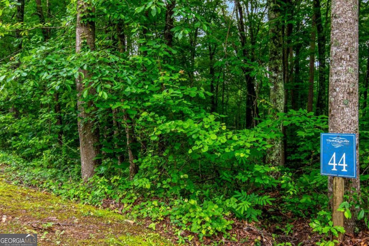 Lot 44 Harris Creek Drive Ellijay GA 30540