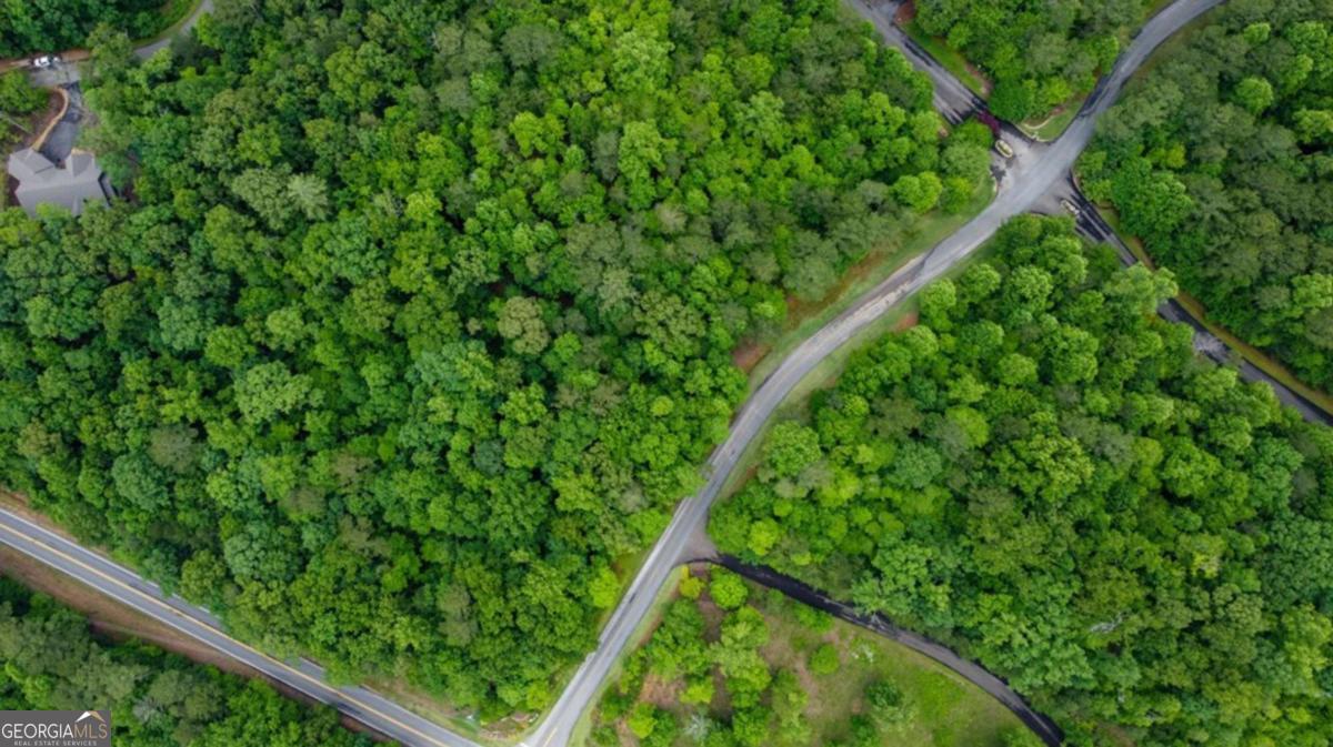 Lot 44 Harris Creek Drive Ellijay GA 30540