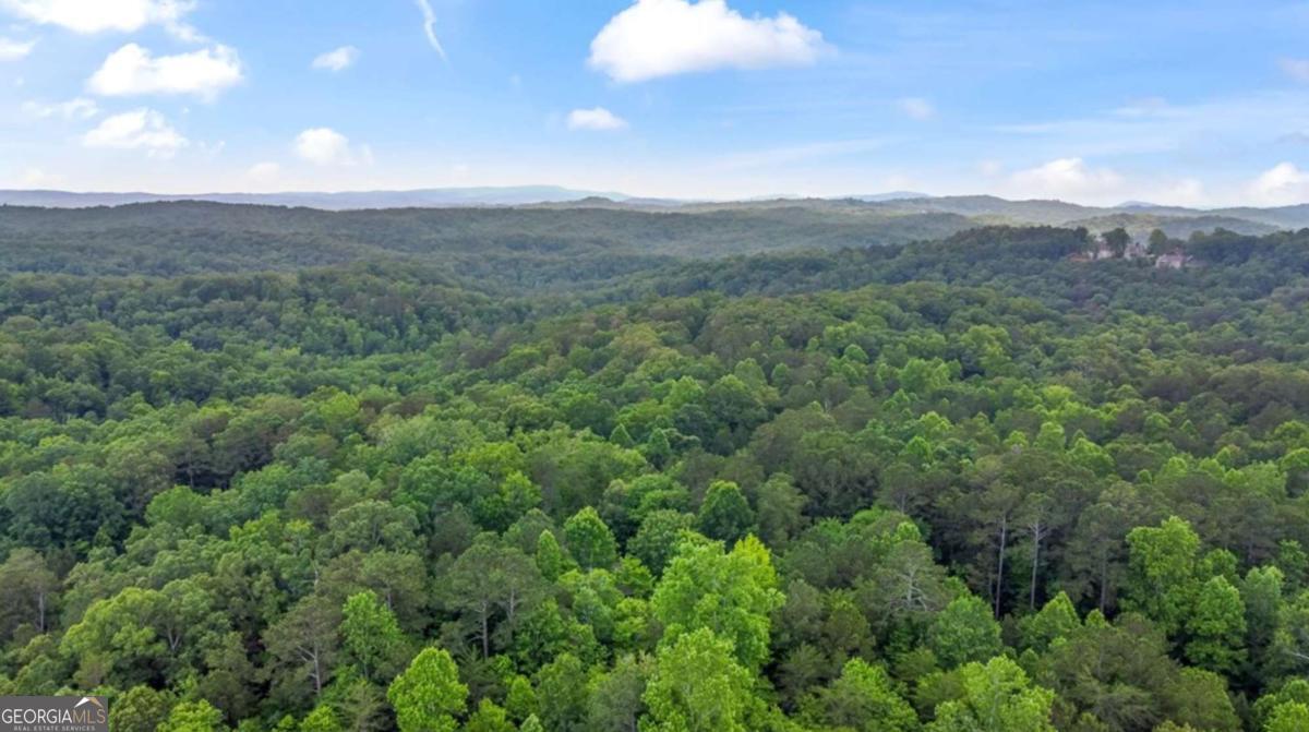 Lot 44 Harris Creek Drive Ellijay GA 30540