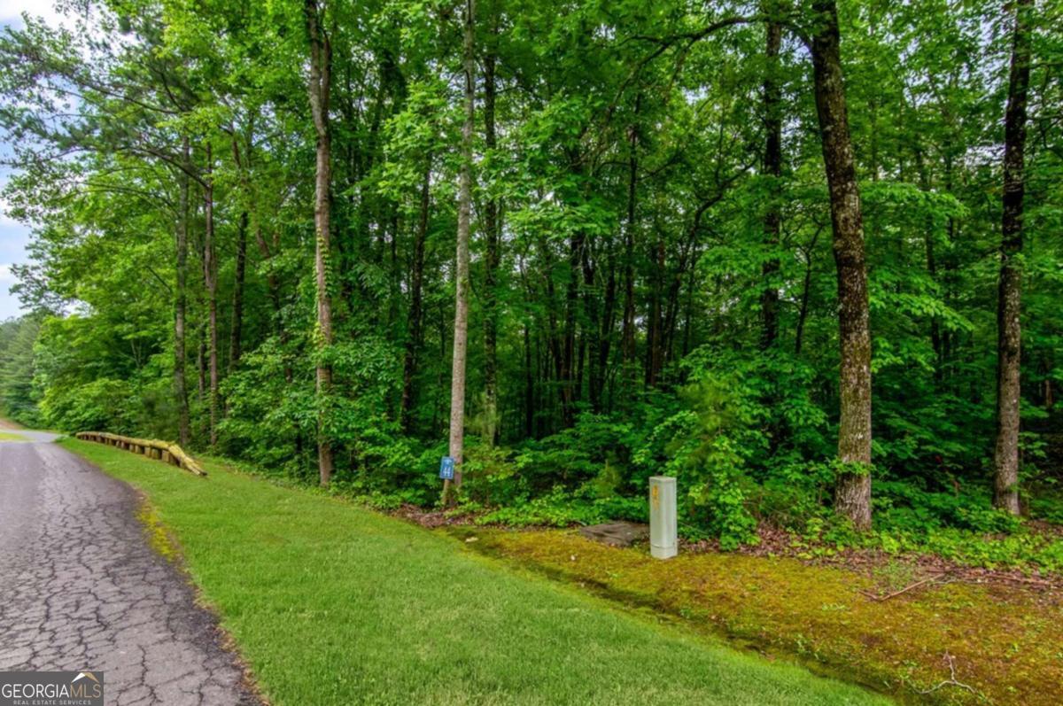Lot 44 Harris Creek Drive Ellijay GA 30540