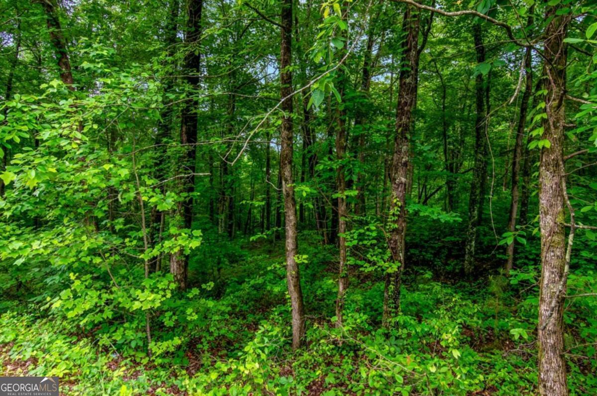 Lot 44 Harris Creek Drive Ellijay GA 30540