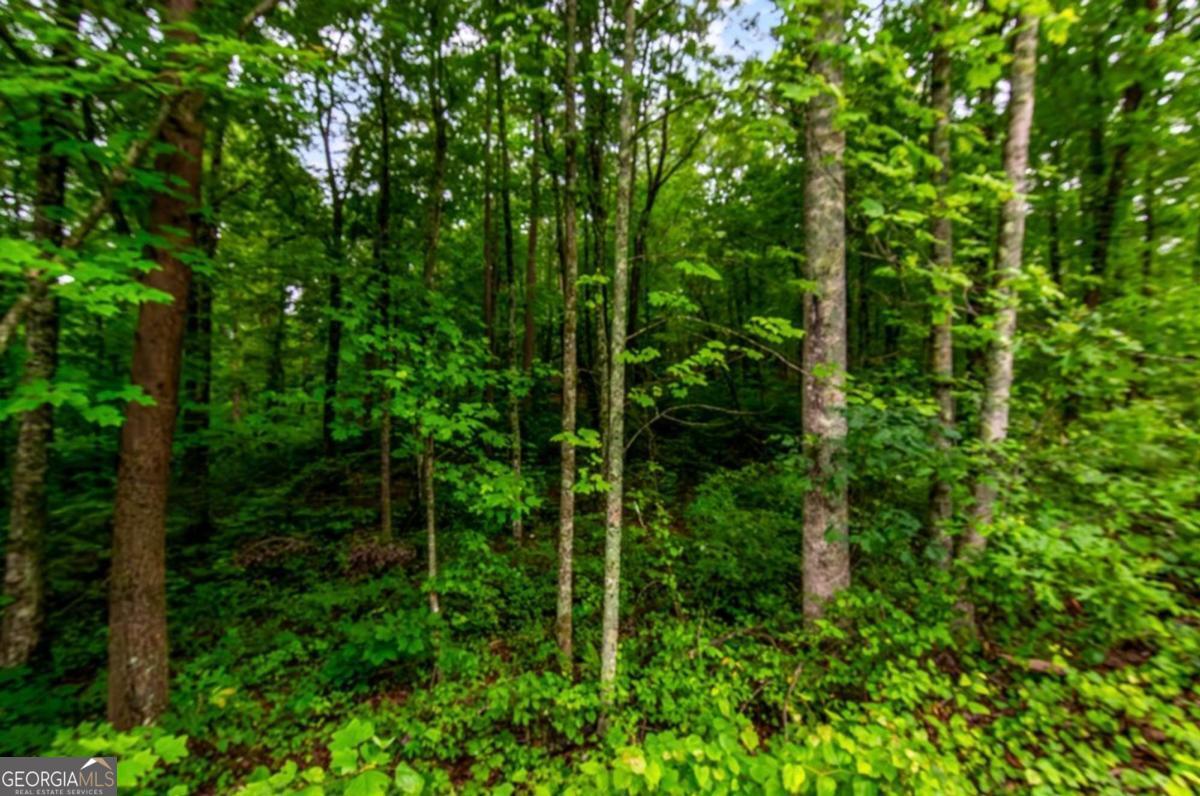 Lot 44 Harris Creek Drive Ellijay GA 30540