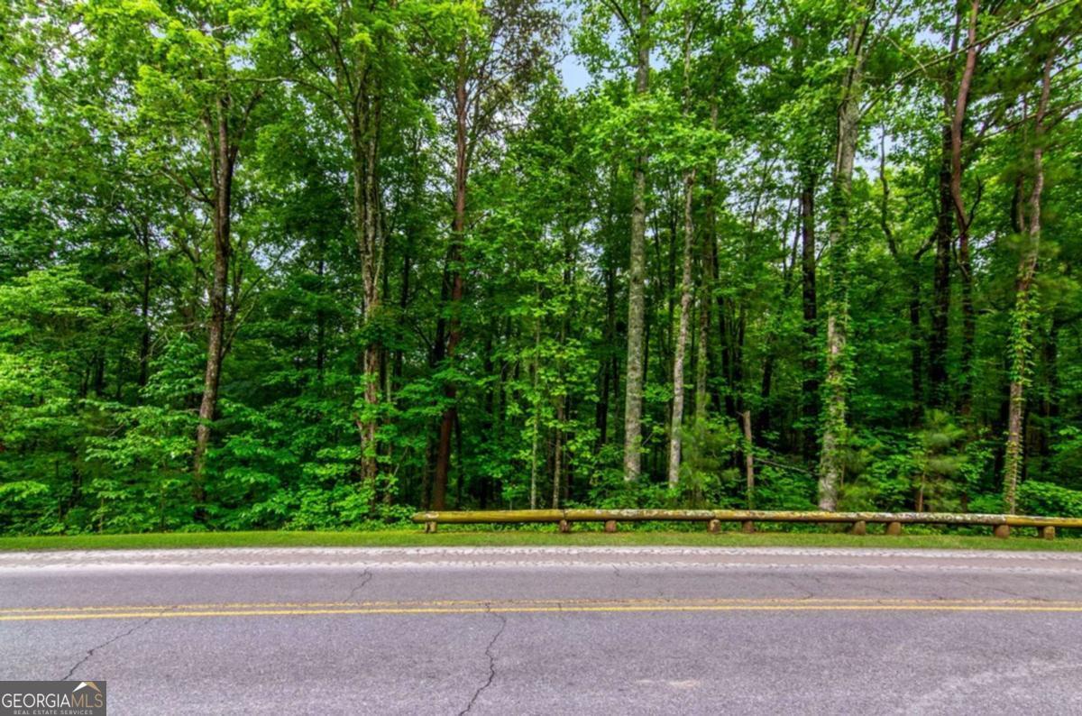 Lot 44 Harris Creek Drive Ellijay GA 30540