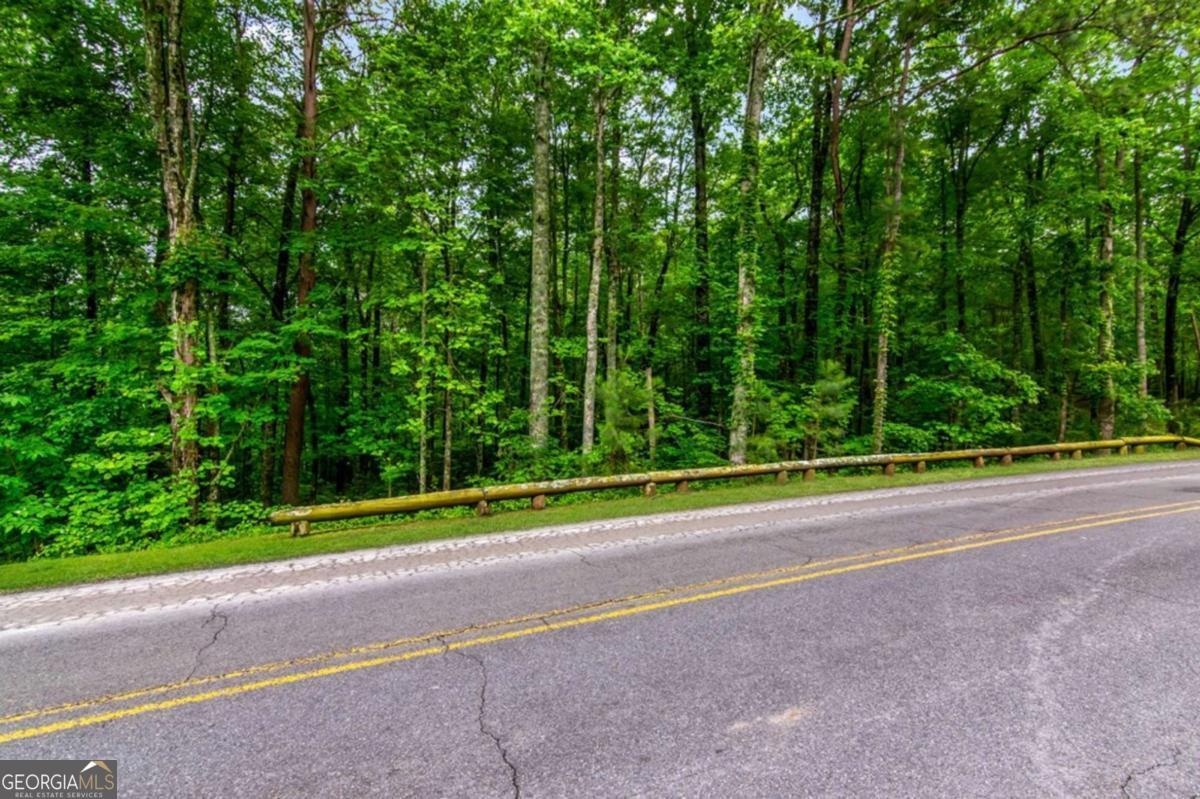Lot 44 Harris Creek Drive Ellijay GA 30540