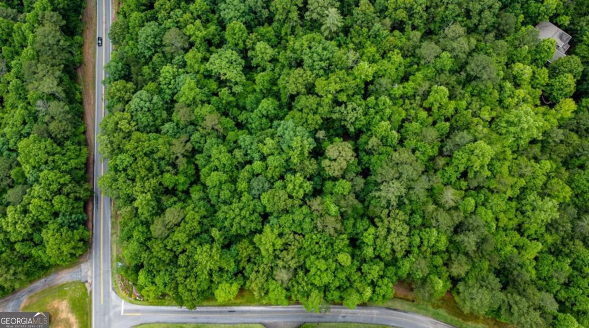 Lot 44 Harris Creek Drive Ellijay GA 30540
