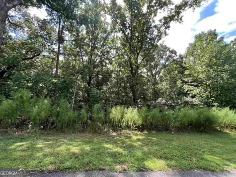 Lot 187 Northshore Drive Cleveland GA 30528